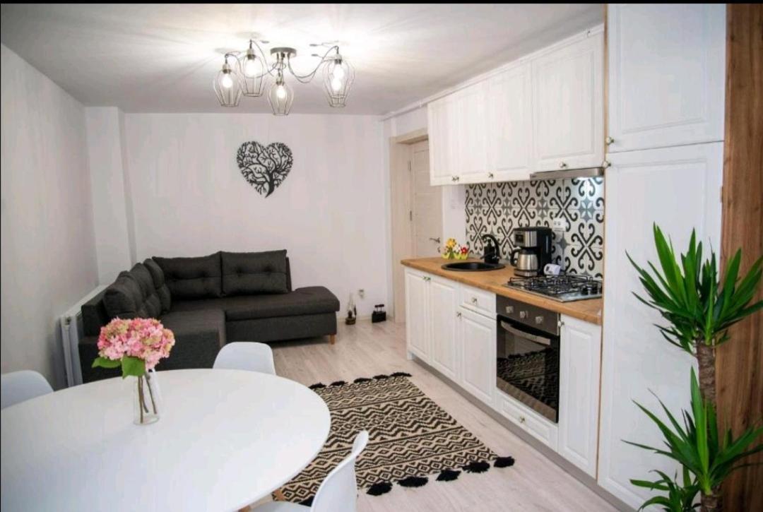 Apartament Daria Tîrgu Ocna 外观 照片